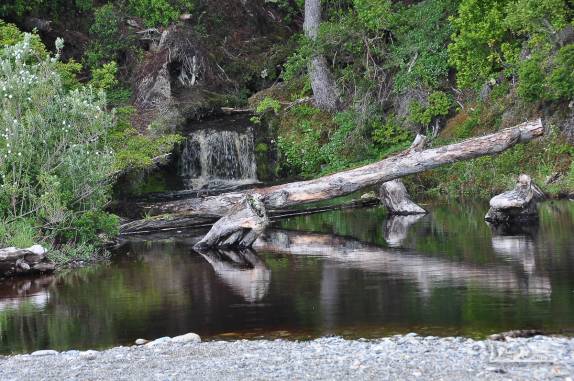 Um riacho e uma cascata no extremo sul do Chile e da América, região de Punta Arenas